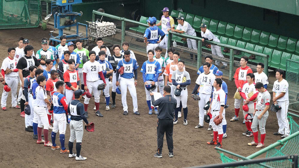 【画像・写真】巨人　今オフ13～14人が戦力外か育成契約　大塚淳弘球団副代表編成担当が明言「迷ったら切る」