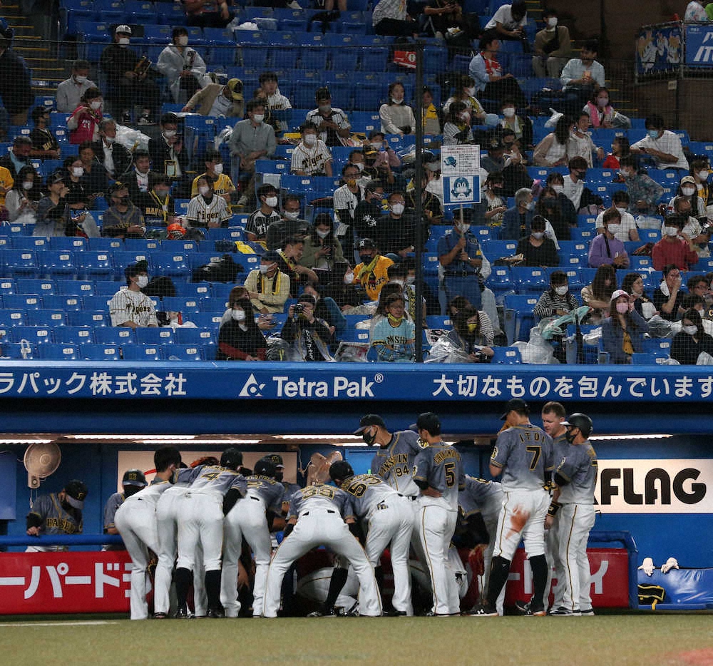 【画像・写真】阪神　球団本部長が謝罪「私のミスジャッジ」　会食ルール設定も…同ポジション、8人でも