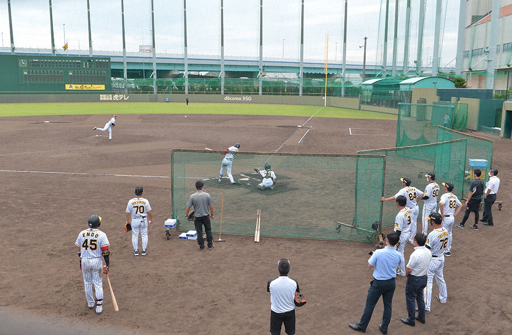 鳴尾浜球場で練習する阪神の選手（代表撮影）