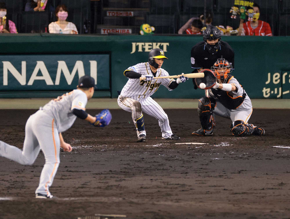 【画像・写真】阪神　近本の足が追加点呼び込む　糸井の2点適時打で今村をノックアウト