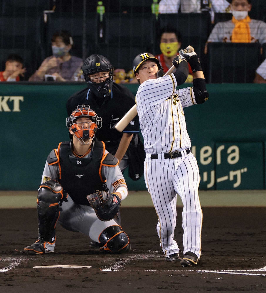 【画像・写真】“激熱キング争い”阪神・大山　岡本の目の前で再接近の23号　86年バース以来へ「一本一本の積み重ね」