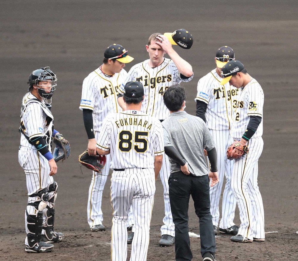 【画像・写真】阪神・ガンケル　長打攻勢に屈し6回5失点　甲子園初先発も粘りきれず「ジャイアンツは良い打線だった」