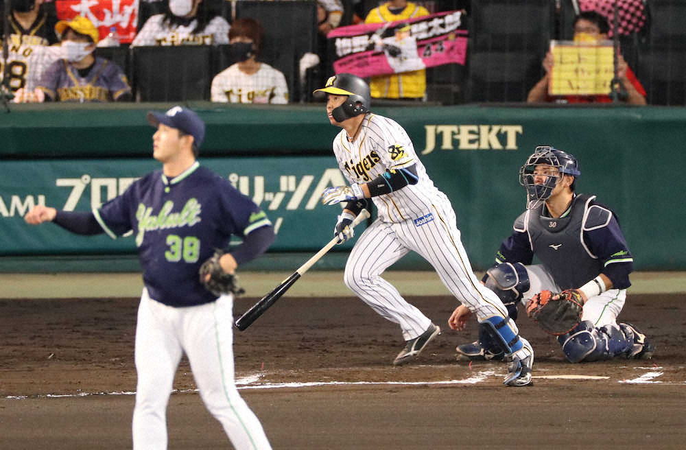 【画像・写真】虎の梅野に軍配!!梅野対決制すソロ本塁打