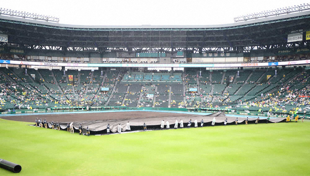 雨の中、試合開催へ向け準備する阪神園芸のスタッフ　（撮影・後藤　大輝）