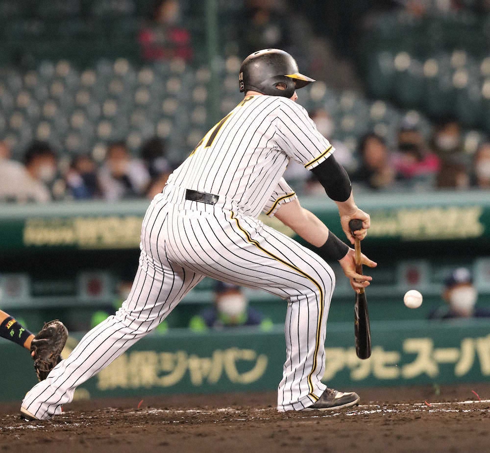 【画像・写真】阪神・ボーアがまさか！？のセーフティーバント敢行　シフト穴つくもファウル