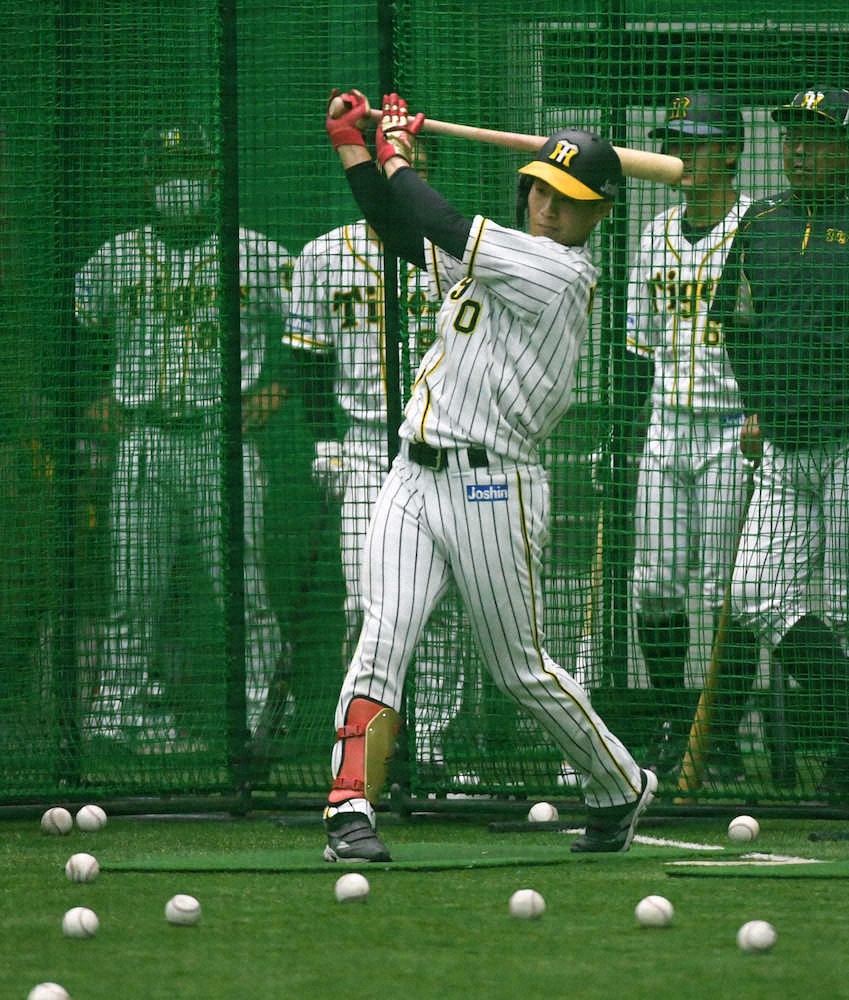 【画像・写真】阪神　コロナ騒動で離脱の木浪が1軍合流　遊撃でチームトップ71試合先発