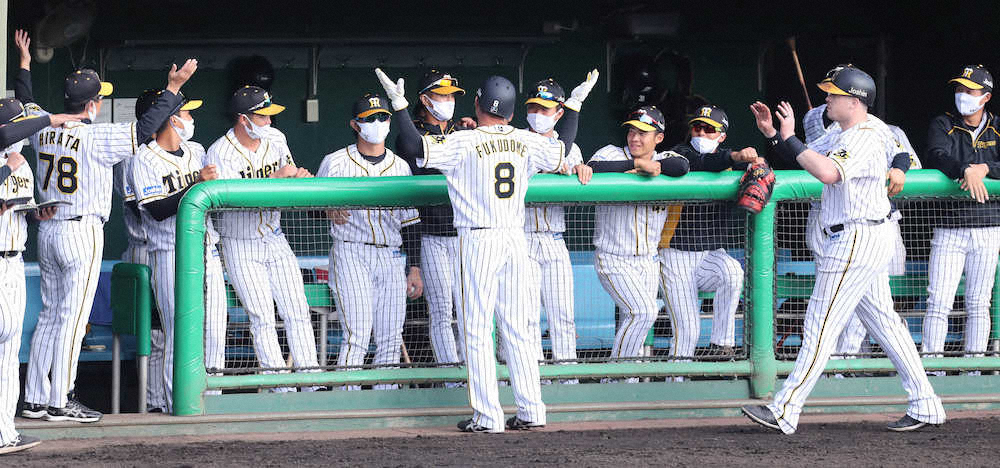 【画像・写真】阪神・福留　現役続行へ不撓不屈「自分の人生、人に言われたからやるのは面白くない」