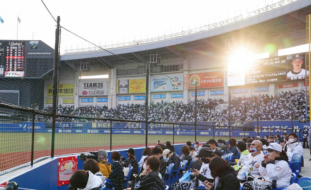 【画像・写真】ZOZOマリン　また「西日」で14分間試合中断　死球の危険性心配し