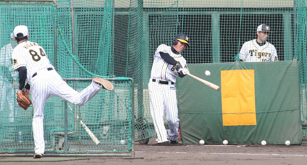 【画像・写真】阪神・福留　若虎に金言「限界つくるな」　球団が正式に退団発表　タテジマで最後の雄姿