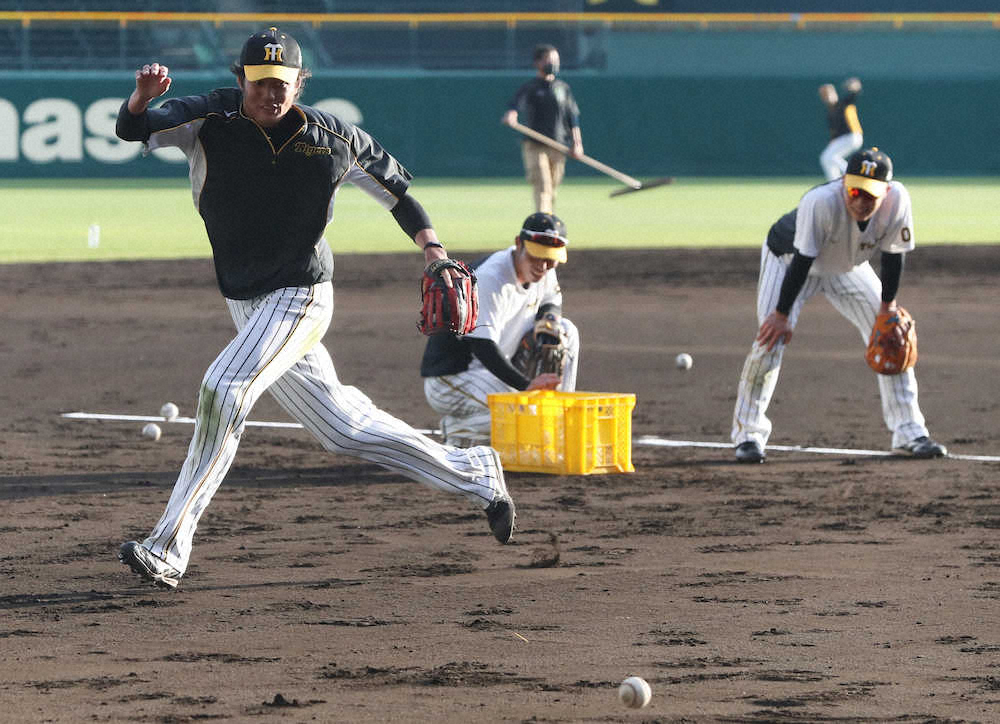 【画像・写真】阪神・矢野監督「チャレンジ」連呼!秋季練習、投手も野手も守備から出直し