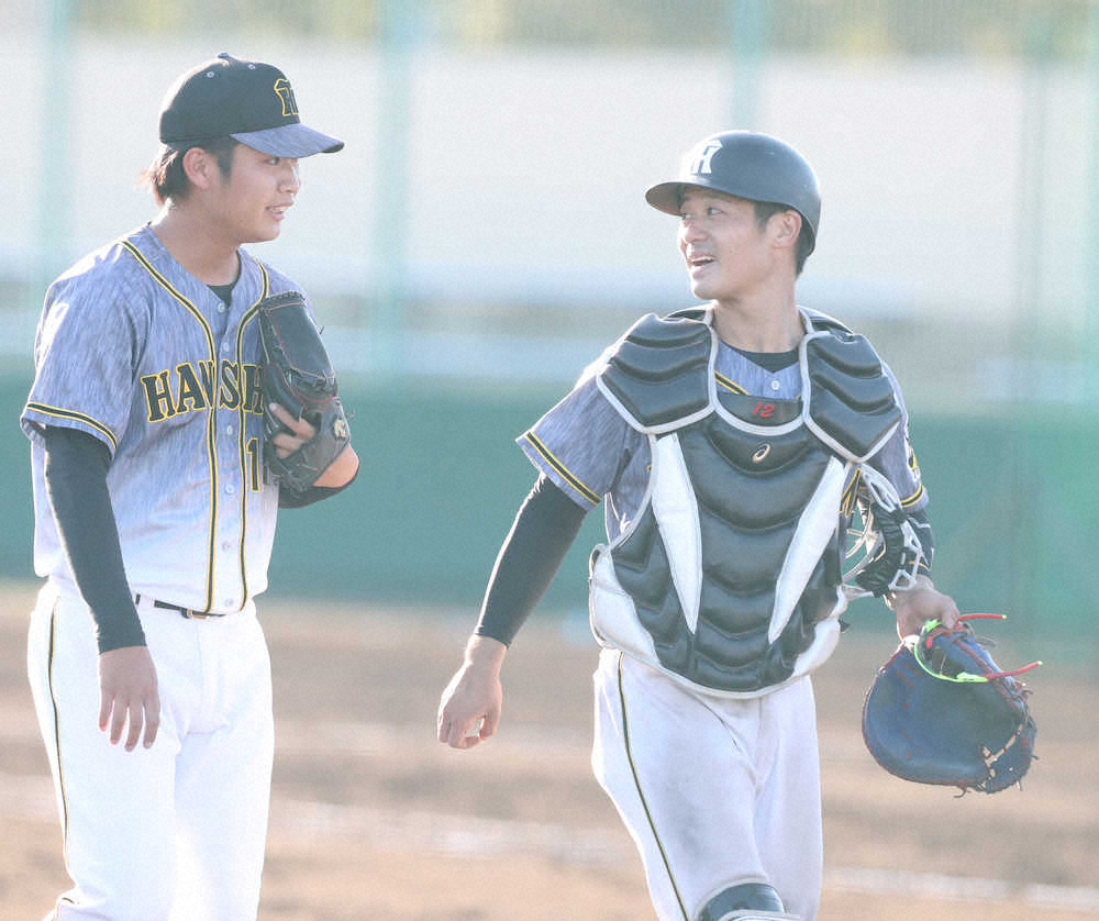 【画像・写真】阪神・坂本がフェニックス合流即マルチで存在感