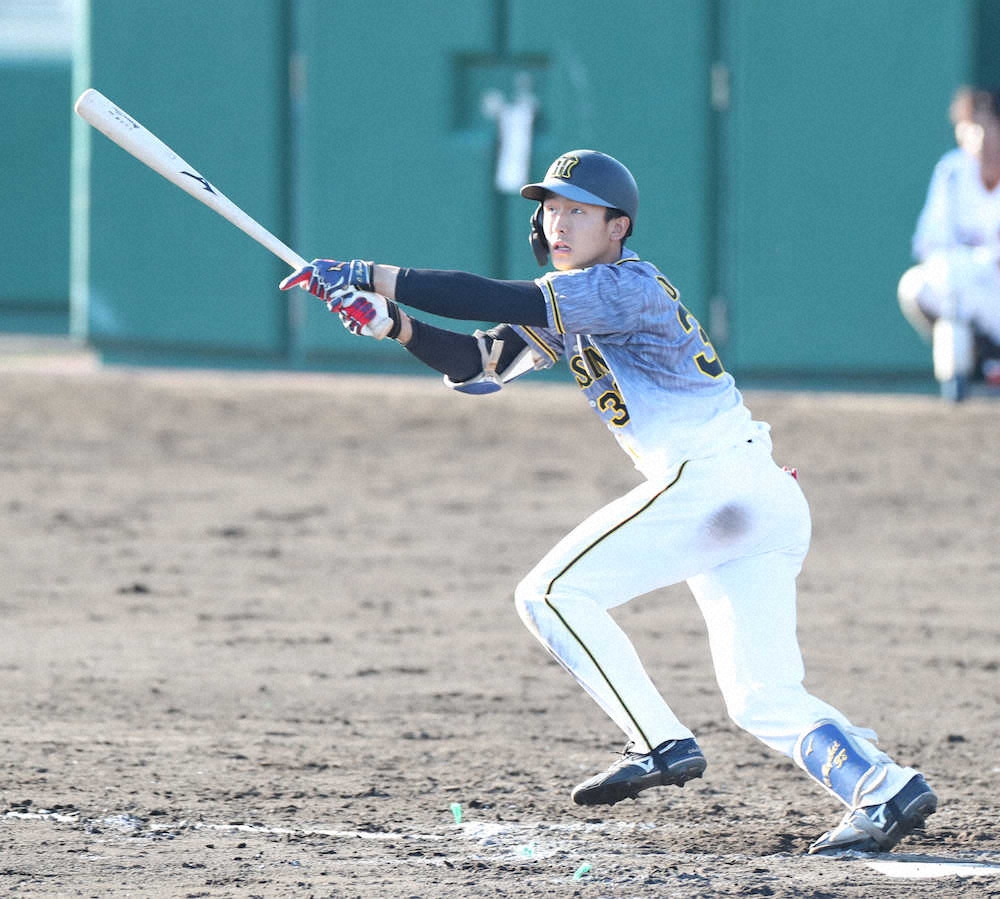 【画像・写真】阪神・小幡　本気で「1番遊撃」獲り　近本と“オバチカ”コンビ結成「とにかく今年は振るだけ振る」