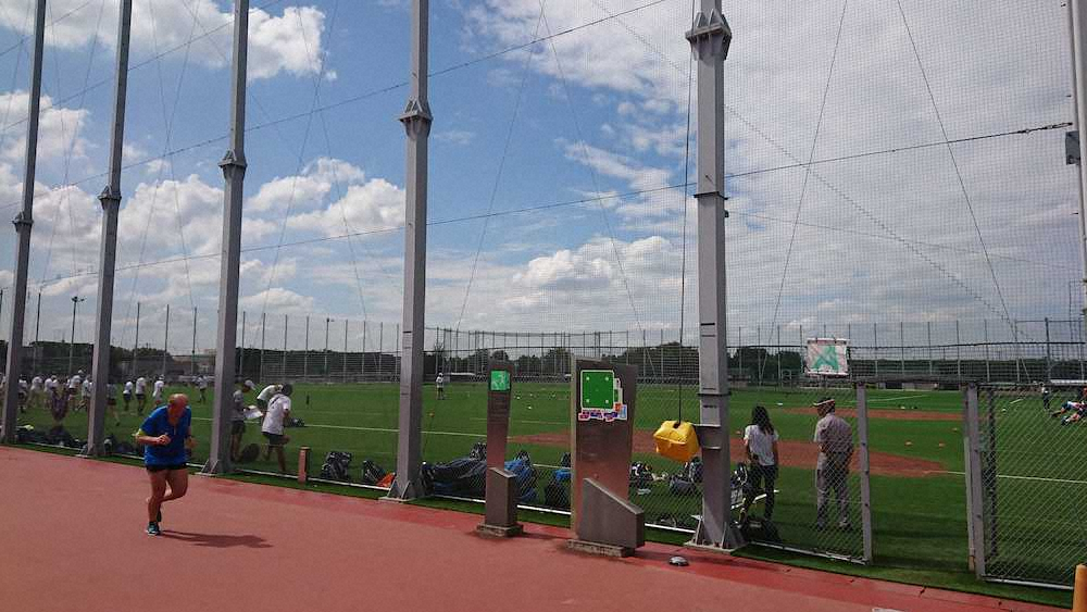 上井草球場の跡地は上井草スポーツセンターとなり、屋上は人工芝が敷かれたグラウンドが広がっている