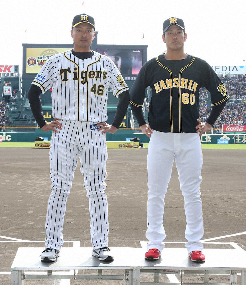 【画像・写真】黄色い帽子は弱い!?　呪いの都市伝説を検証した猛虎党　手製のデザインカレンダー、今年も完成