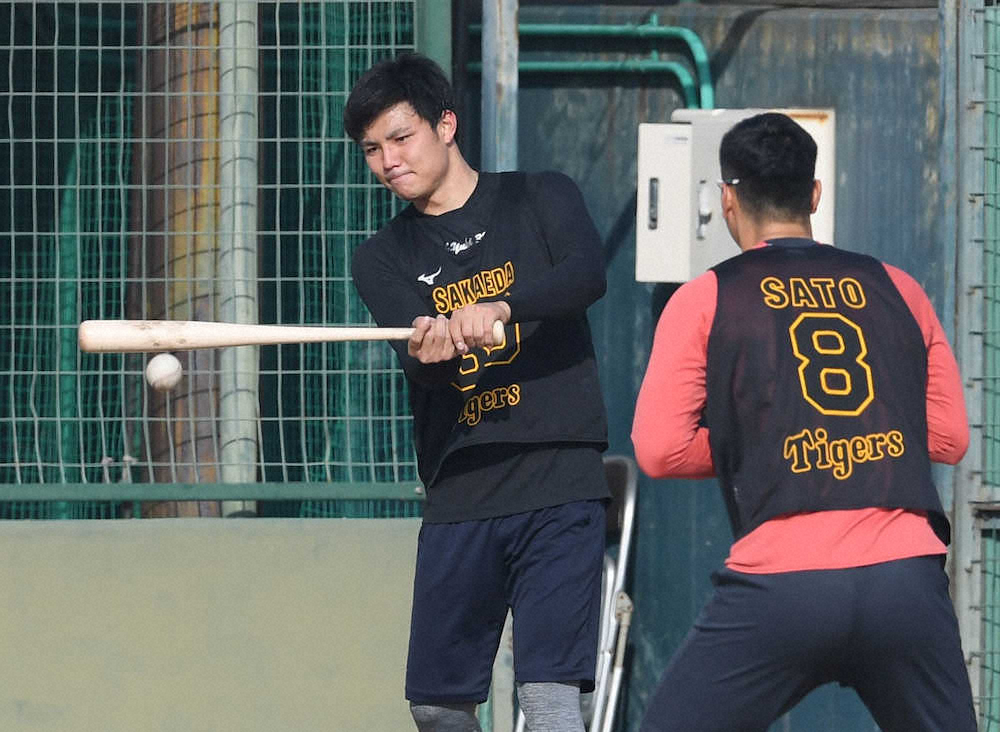 【画像・写真】阪神ドラ4栄枝が主戦3投手を逆指名　「西（勇）さん、藤浪さん、高橋遥人さんの投球を受けてみたい」