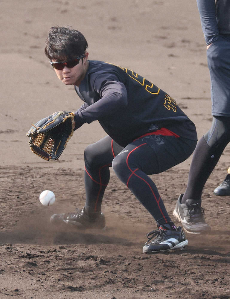 【画像・写真】「井端式」ノックでエラー撲滅　川相臨時コーチが“名手”の姿勢を虎ナインに注入