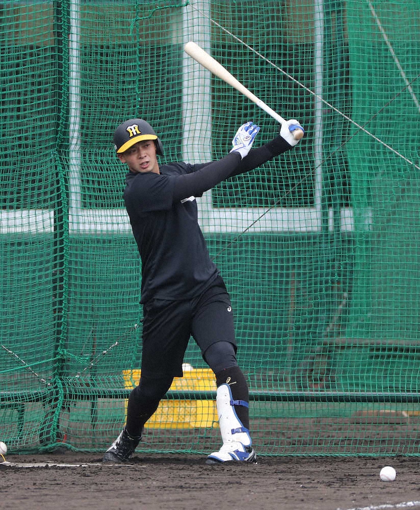 【画像・写真】阪神・井上　人生初の沖縄でスカッと2発　注目ドラ1佐藤輝の直後　「身の入った練習できた」