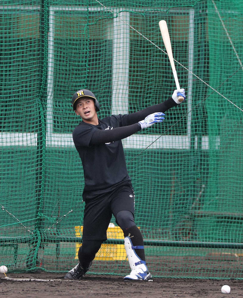 【画像・写真】「2・4」からトップギアだ　1軍野手最年少の阪神・井上は紅白戦初戦から全開宣言