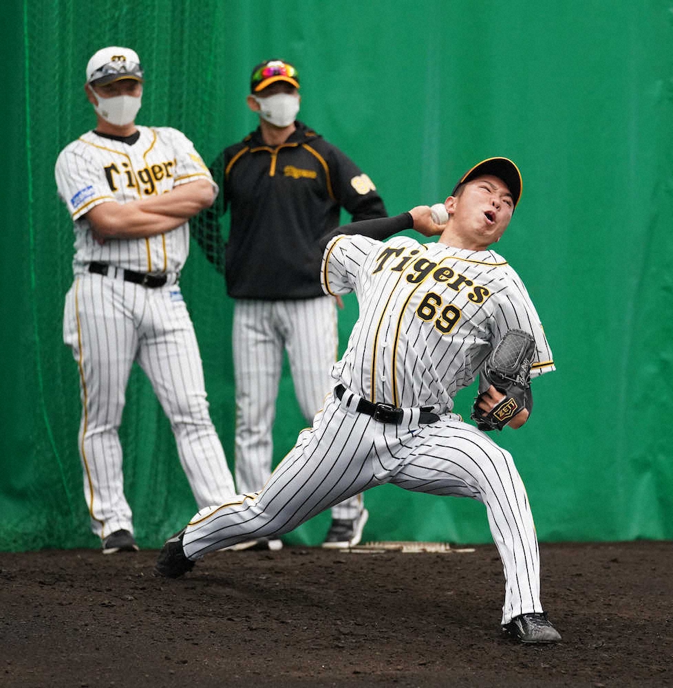 【画像・写真】虎のルーキートリオが初ブルペン　ドラ3・佐藤連には矢野監督が直接指導