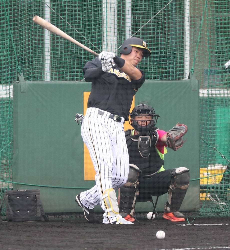 【画像・写真】阪神ドラ1佐藤輝　初の特打で34発の“乱れ打ち”　掛布氏も絶賛「甲子園の浜風とも友達になれる」