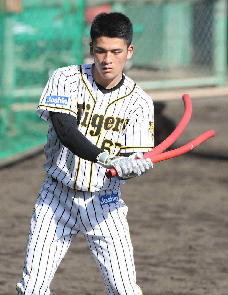 【画像・写真】阪神ドラ7高寺がフリー打撃で“プロ1号”　記念の瞬間なのに、なぜか見逃した！？