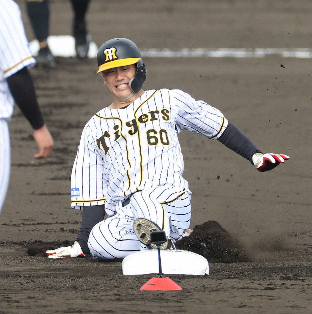 【画像・写真】【内田雅也の追球】口伝で磨く「十八番」