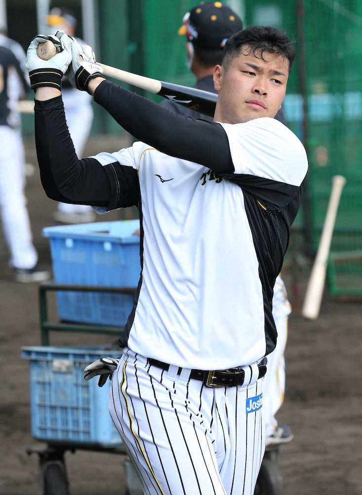 【画像・写真】阪神・佐藤輝のプロ初打席は17年ドラ1馬場と…西純VS井上も　紅白戦スタメン発表
