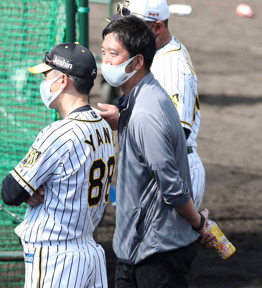 【画像・写真】阪神・藤川SAの視点　「今のレギュラーと5年後のレギュラー」　藤浪にも「投げるまで分からない」