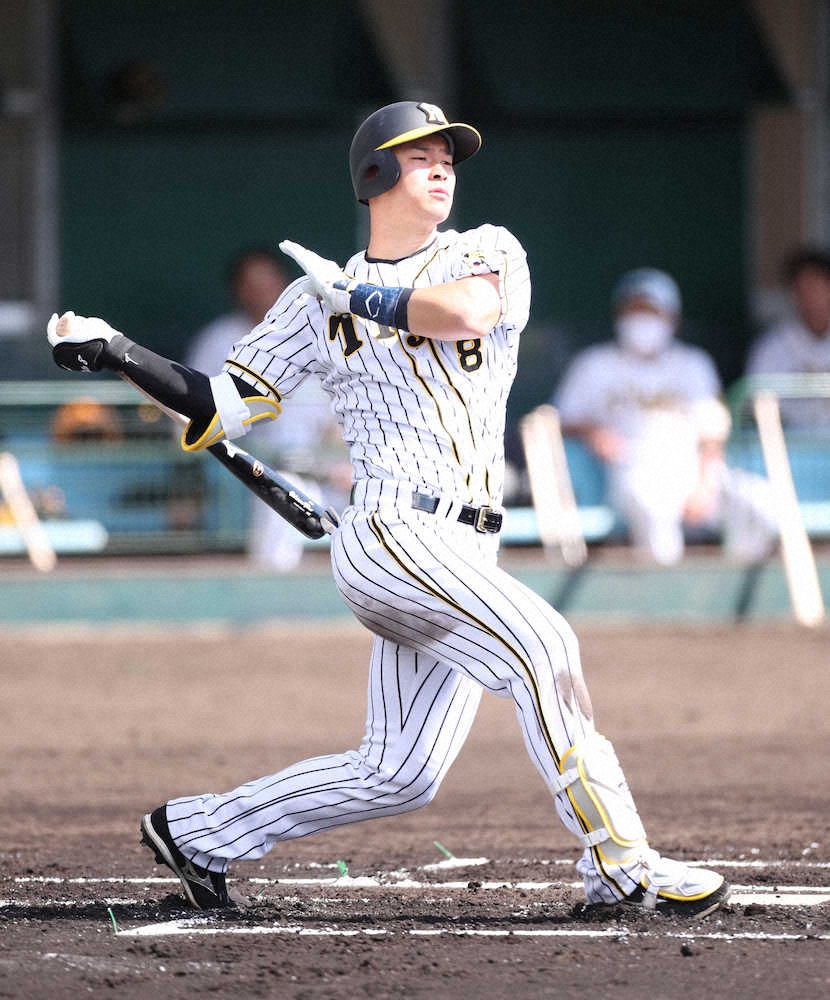 【画像・写真】関本賢太郎氏　「引っ張ったファウル」に阪神・佐藤輝の非凡さ感じる　中野は「2番遊撃」争える逸材