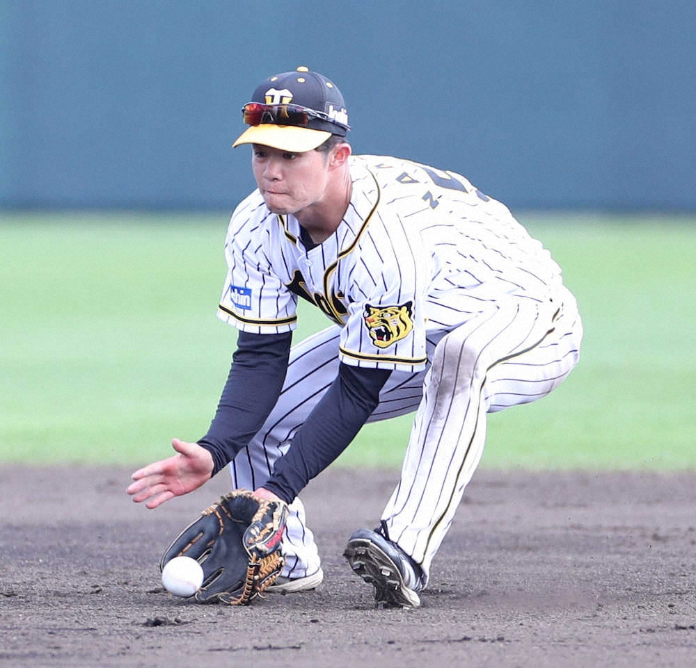 【画像・写真】【内田雅也の追球】失敗からの回復力