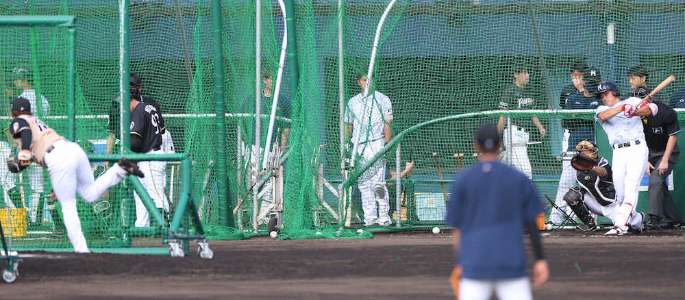 【画像・写真】日本ハム18年ドラ1・輝星、2位・野村が対決　27球中安打性4本も決着はつかず？