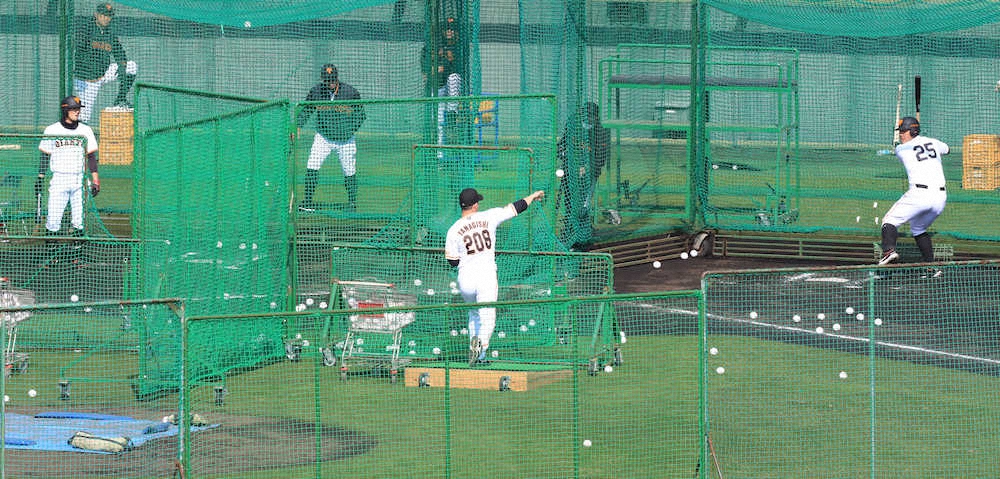 【画像・写真】巨人　ソフト式でソフトB倒す！　速球対策へ超至近距離で打撃練習