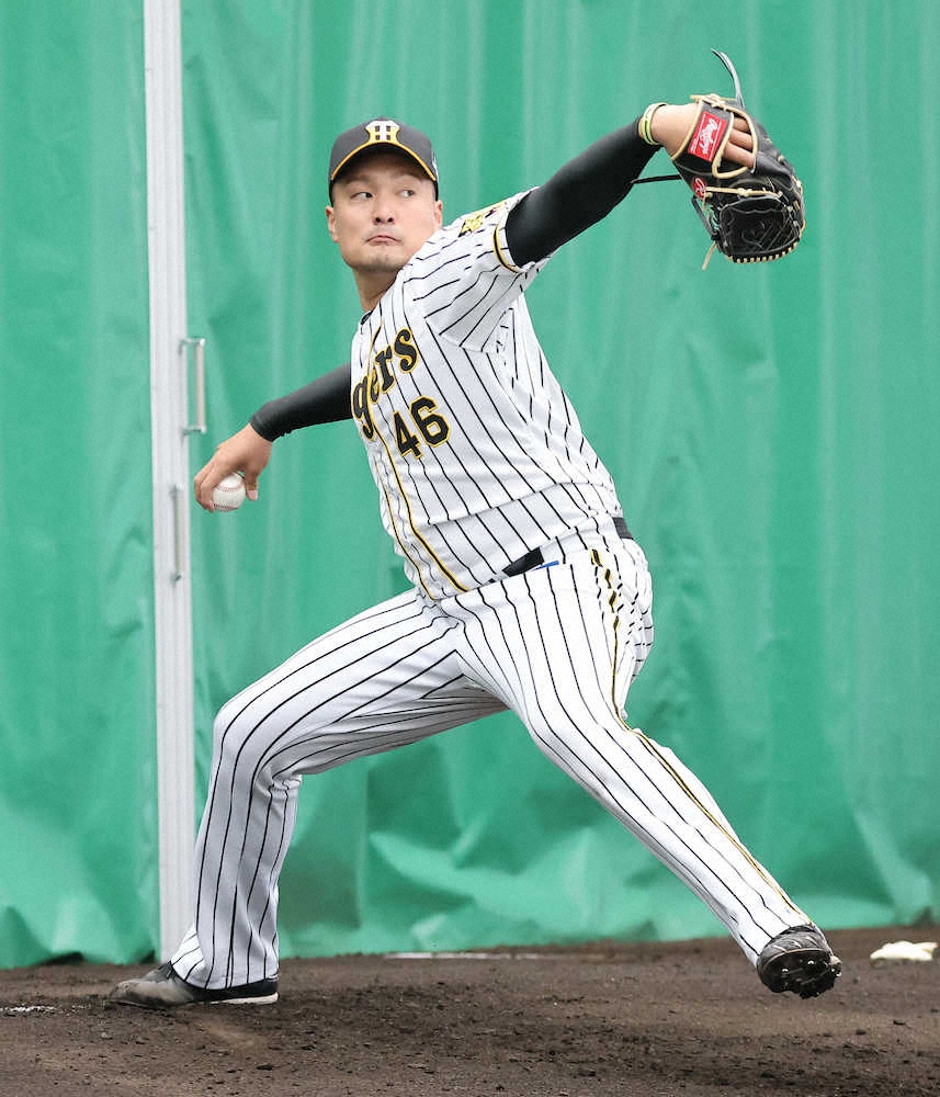 【画像・写真】阪神・秋山が7日の紅白戦に先発　西武・増田を手本に球速向上　今季初実戦で進化見せる