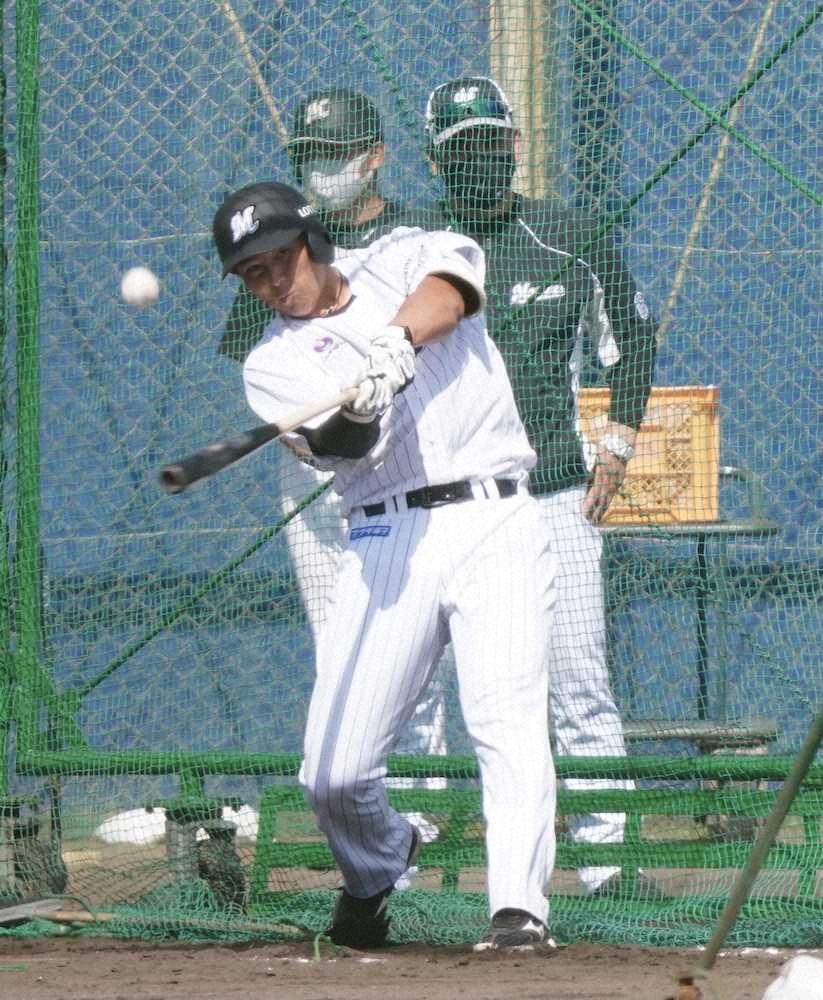 【画像・写真】ロッテドラ5西川が柵越え3発　井口監督「巨人・岡本のようになってほしい」