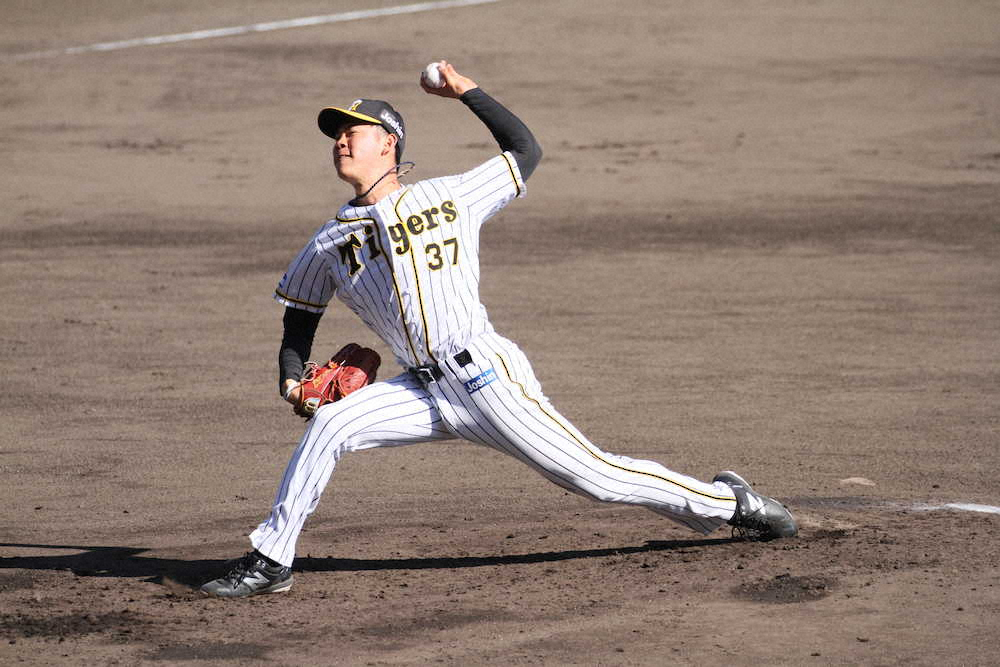 【画像・写真】帽子も打球も飛ばしません　新フォームの阪神・及川がシート打撃で好投