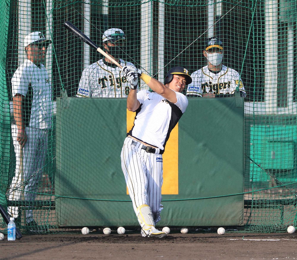 【画像・写真】「プロ1号」に確かな予感　阪神・佐藤輝が柵越え52発　9日の日本ハム戦は「2番・左翼」で先発