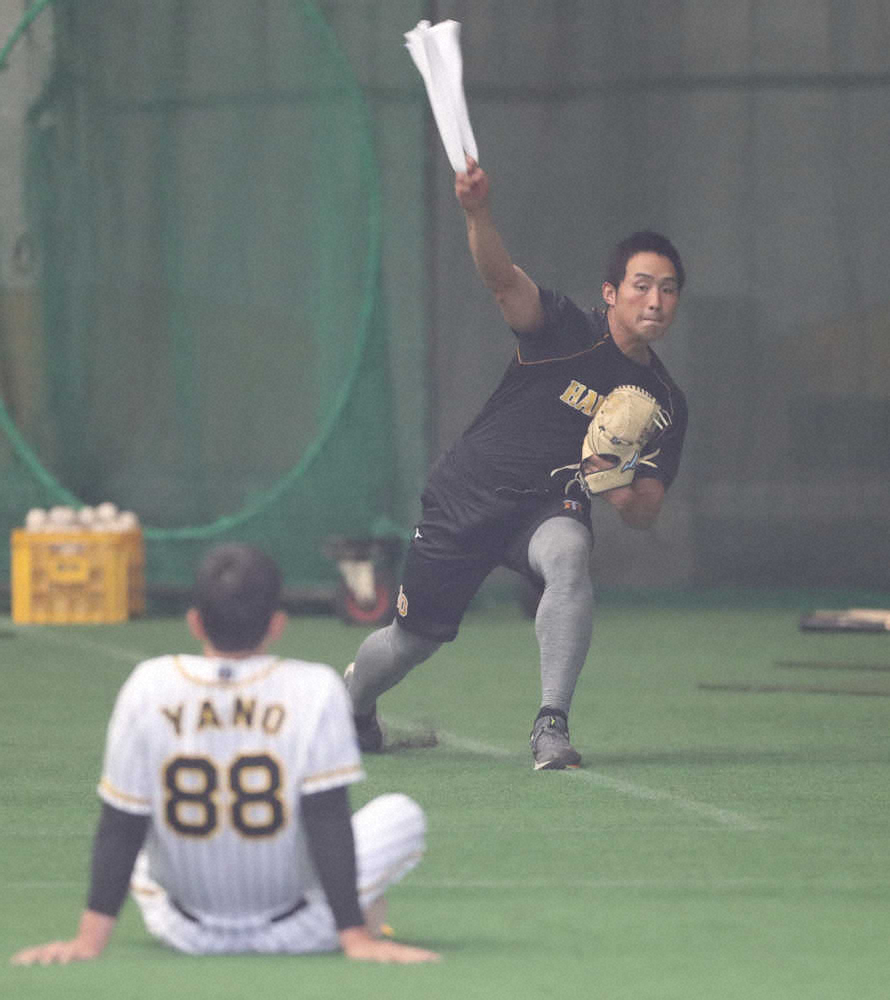 【画像・写真】矢野監督、気配りの密着マーク　紅白戦で制球乱したドラ3佐藤蓮に助言、そして鼓舞