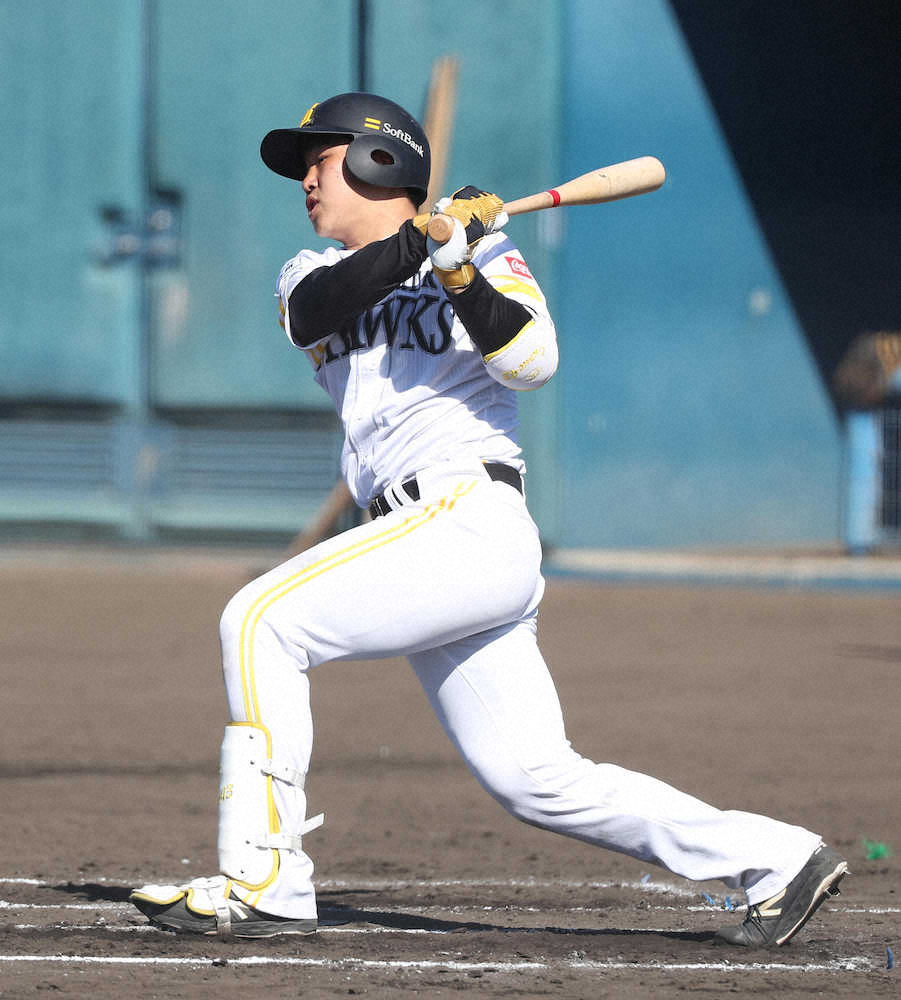 ソフトバンク春季キャンプ B組のシート打撃で左前適時打を放つ井上 撮影 岡田 丈靖 スポニチ Sponichi Annex 野球