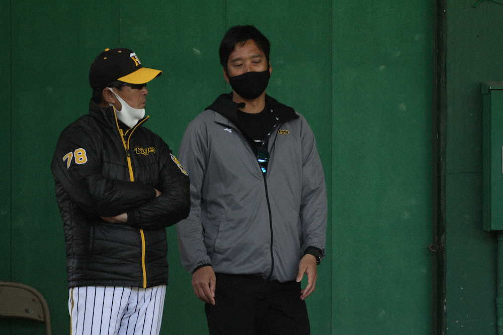 【画像・写真】阪神・平田2軍監督が「球児SA効果」に期待　キャンプ第2クールが終了し総括