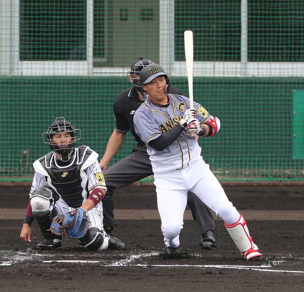 【画像・写真】阪神・大山　今春実戦10打席目で初安打