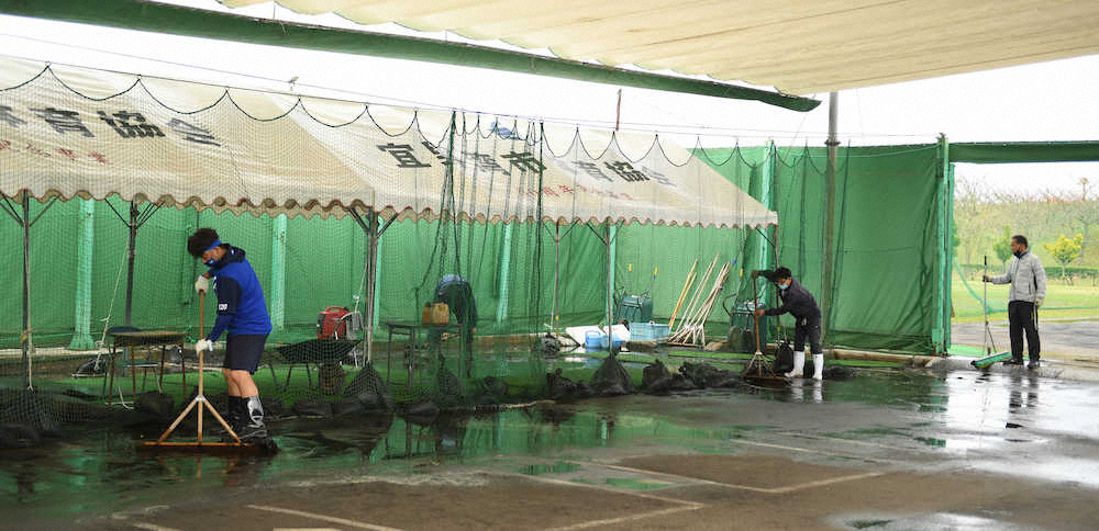 【画像・写真】DeNAキャンプ地・宜野湾のブルペンが水没　三浦監督「こういうこともありますよ」