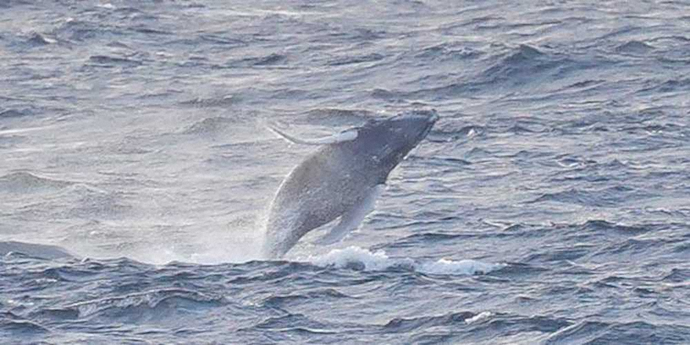 【画像・写真】球春！撮れたてキャンプ2月15日編