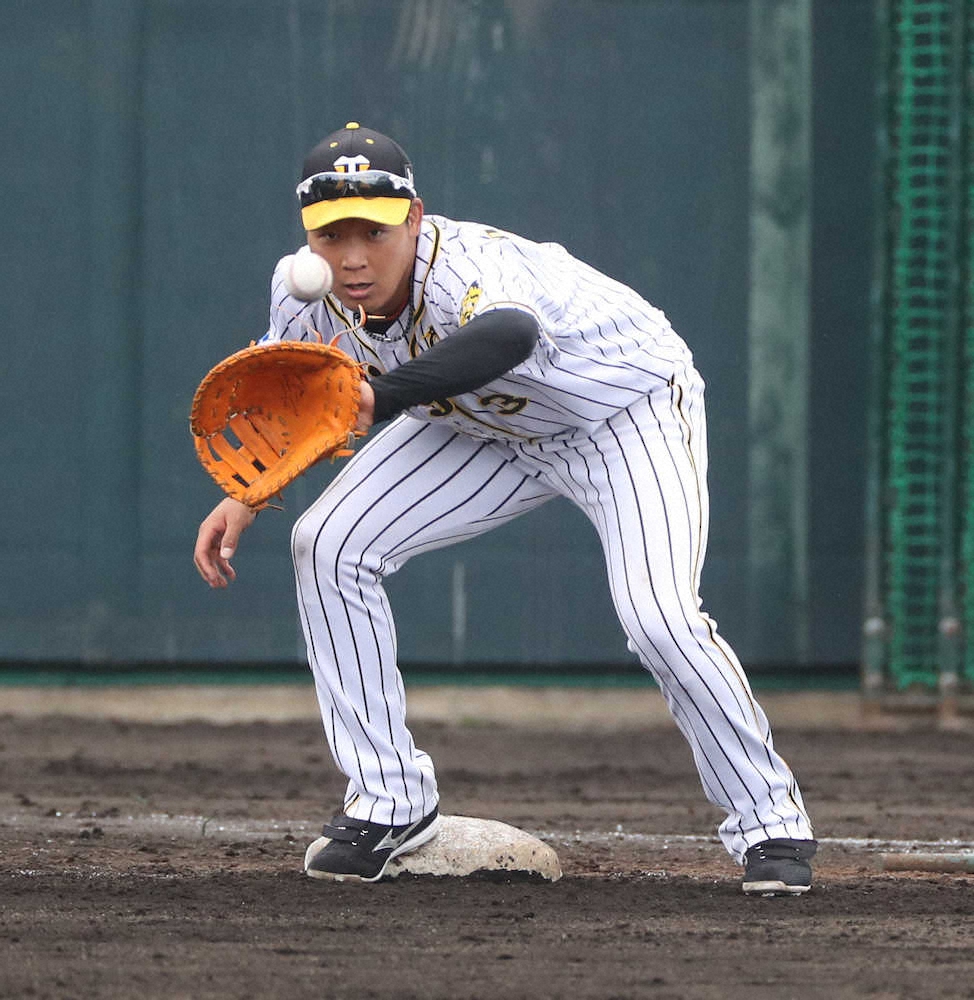 【画像・写真】球春！撮れたてキャンプ2月17日編