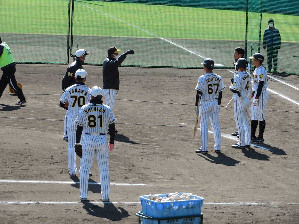 【画像・写真】「へたくそ！」阪神・平田2軍監督が度重なるバント失敗でカミナリ「休みの日もやっとけ」