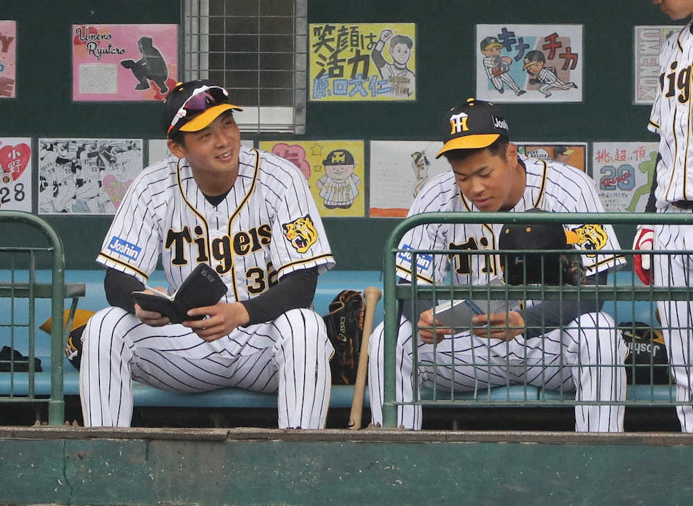 【画像・写真】虎の「SI砲」佐藤輝&井上　18日DeNA戦も3、4番コンビ継続！同一リーグ相手に腕試しだ