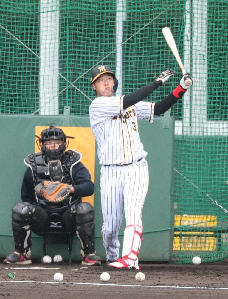 【画像・写真】阪神・大山　屋外でフリー打撃再開　腰背部の張りから回復順調