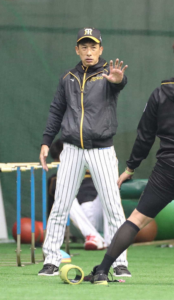 【画像・写真】百戦錬磨の指揮官も目をむいた飛距離　18日の阪神・矢野監督語録