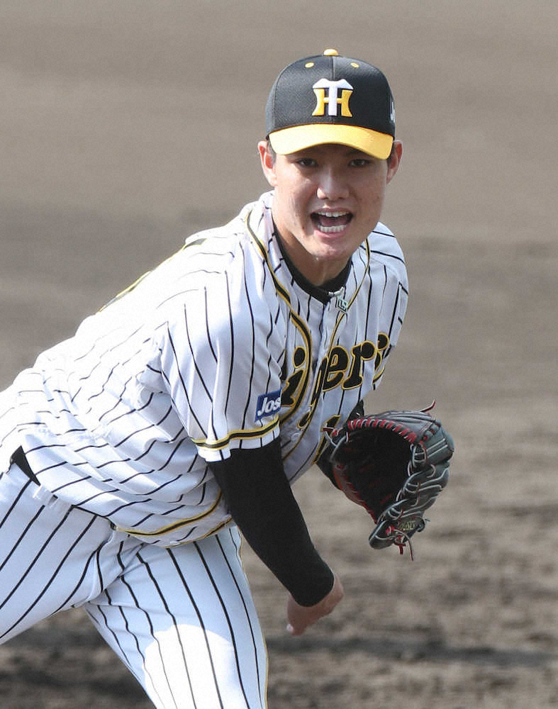 【画像・写真】阪神・西純　昨季までの同僚、中日・福留との対戦熱望　昨年とは違うところ見て！