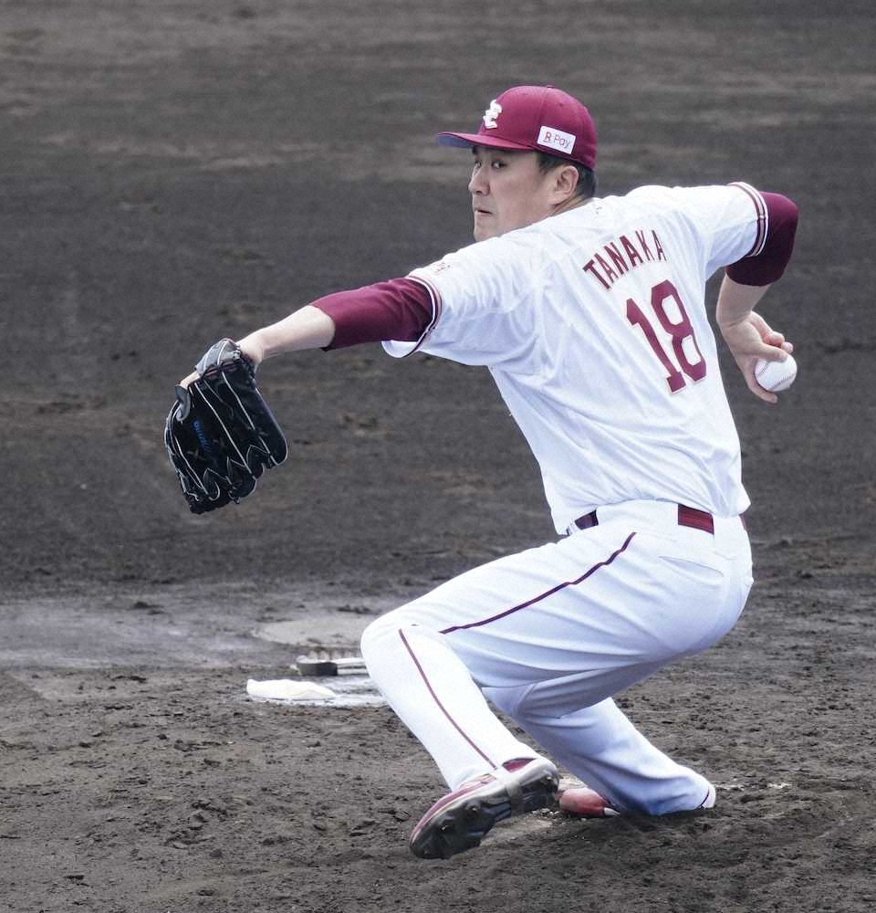 【画像・写真】球春！撮れたてキャンプ2月20日編