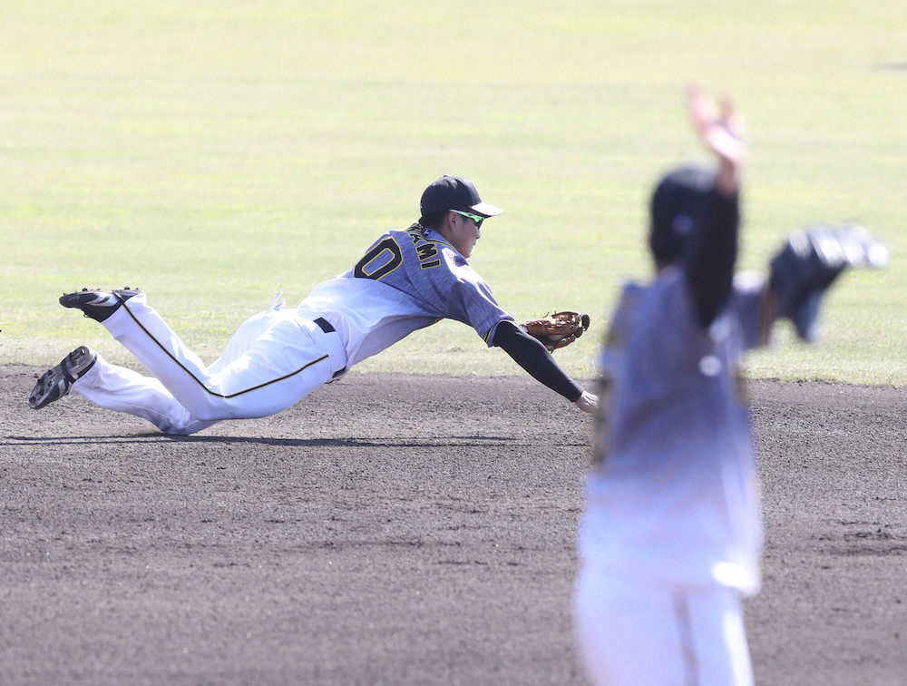 【画像・写真】【内田雅也の追球】「赤い気分」を忘れるために